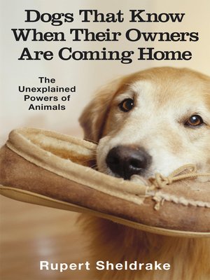 cover image of Dogs That Know When Their Owners Are Coming Home